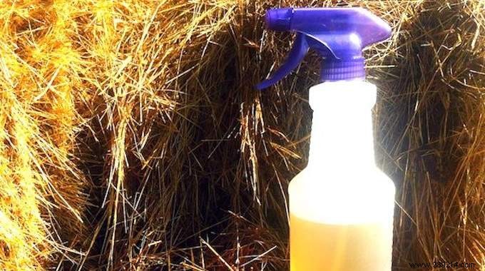 How To Make Fly Spray In Your Kitchen (Easy And Super Effective). 