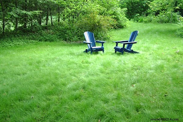 23 gardening tips to save tons of water in the garden. 