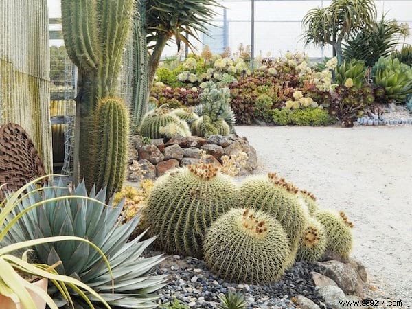 23 gardening tips to save tons of water in the garden. 