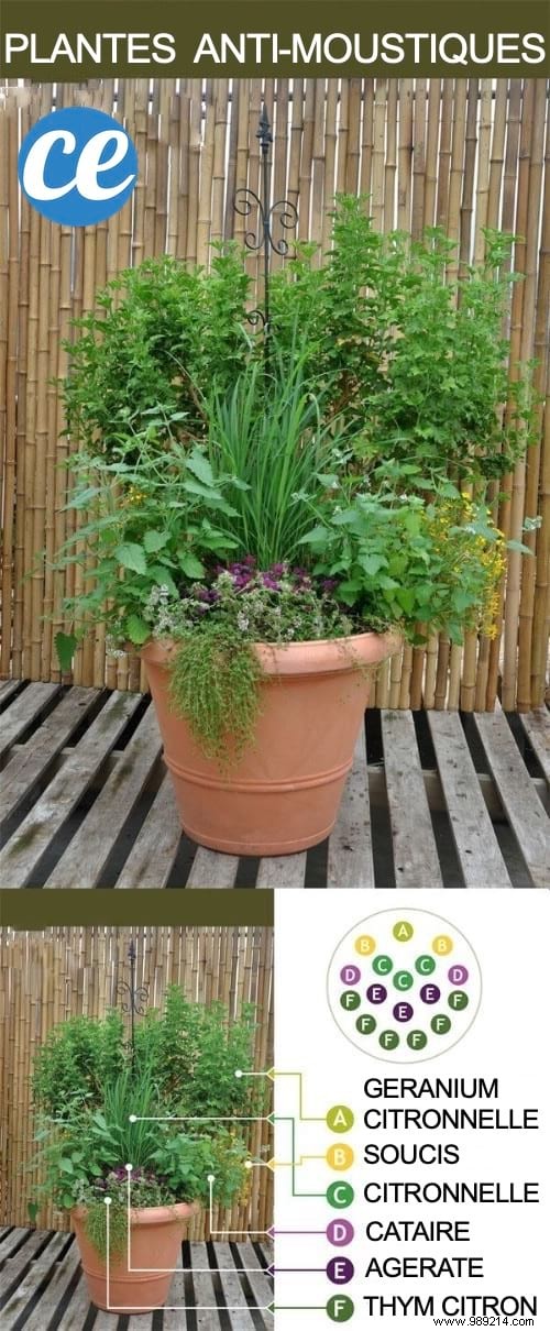 100 Garden Hacks That Make Life Easier. 