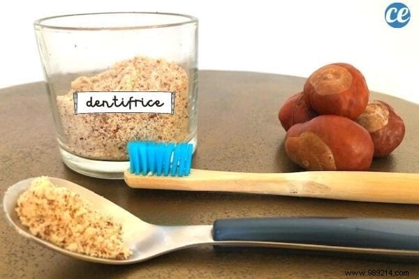 10 Chestnut Uses You re Gonna Fall In Love With. 