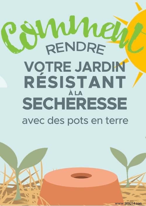 Here s How To Make Your Garden DROUGHT Resistant. 