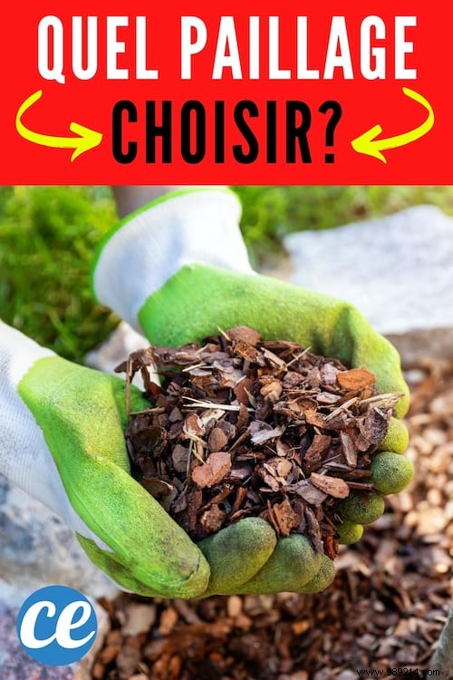 What is mulching used for and which one to choose for your garden and vegetable patch? 