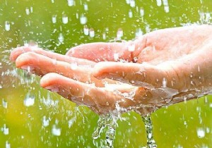 8 Uses of Rainwater (To Save On Your Water Bill). 