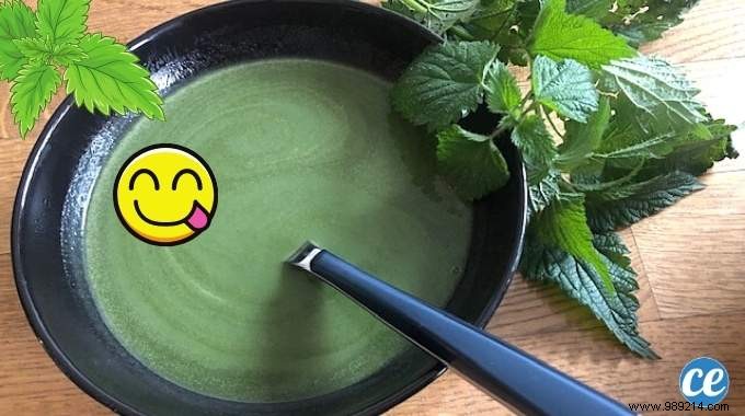 Old Fashioned Nettle Soup:My Easy Recipe That Costs Nothing! 