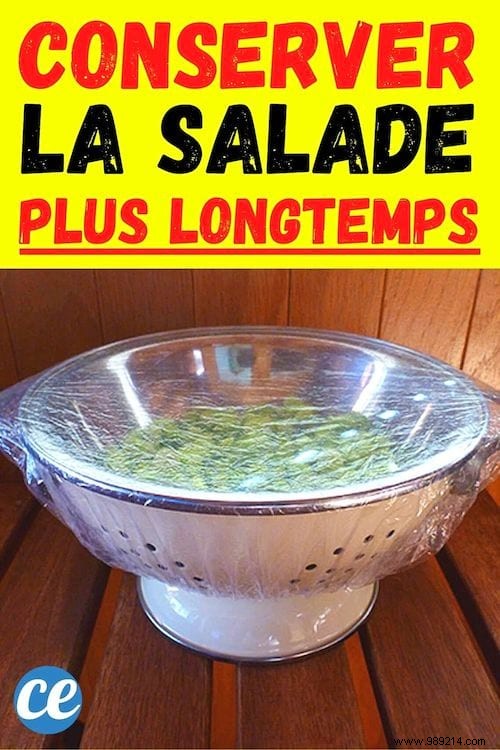 The life-changing tip for keeping salad fresh. 