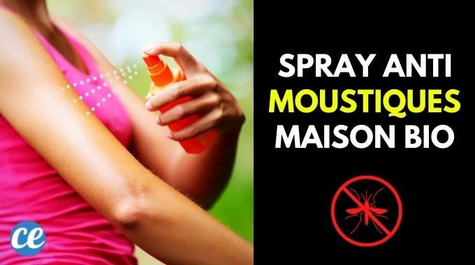 Make Your Organic Mosquito Repellent Spray in 30 Secs (For Only 1 Euro). 