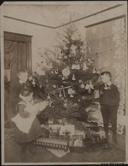 This is what Christmas trees looked like 100 years ago (12 photos). 