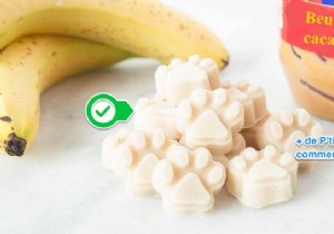 The Homemade Peanut Butter Treat Your Dog Will LOVE! 