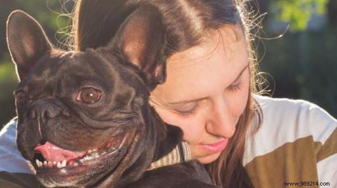 Petting a Dog is Better for Your Heart Than Red Wine or Chocolate, Study Says 