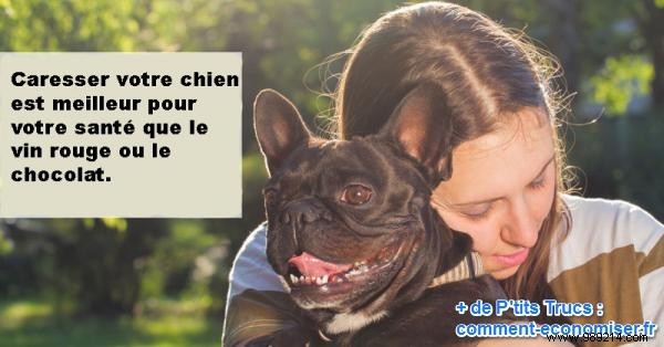 Petting a Dog is Better for Your Heart Than Red Wine or Chocolate, Study Says 