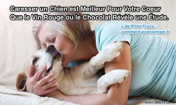 Petting a Dog is Better for Your Heart Than Red Wine or Chocolate, Study Says 