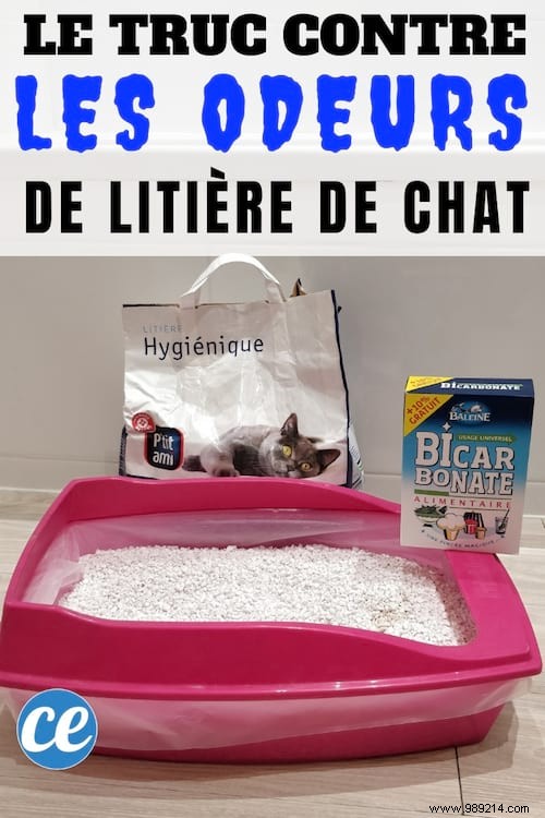 The Tip For Saying Goodbye To Cat Litter Smells (Revealed By My Vet). 