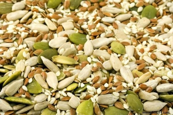 16 Easy Tricks To Feed Your Hens Well Without Breaking Your Money. 