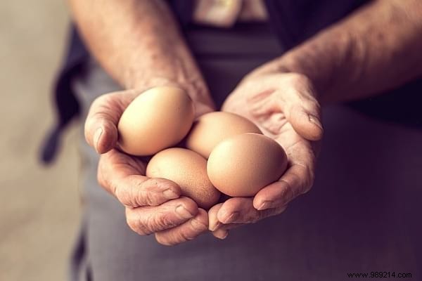 16 Easy Tricks To Feed Your Hens Well Without Breaking Your Money. 