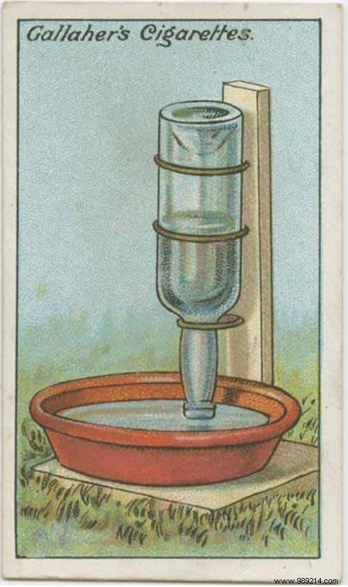 These Grandma Tricks Are Over 100 Years Old And Yet They Still Work Today! 
