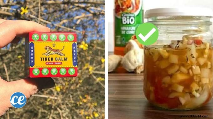 Top 10 Tips:Tiger Balm, Natural Antibiotic, Solid Shampoo. 