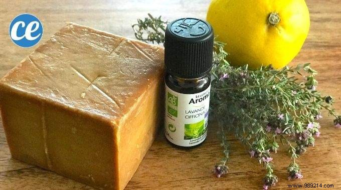 10 Super Soap Recipes (Easy &Quick to Make at Home). 