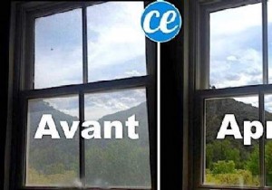 14 Easy Recipes For Streak-Free Windows Even In The Sun. 
