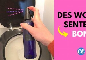 My Homemade Spray For Toilets That ALWAYS Smell Good. 