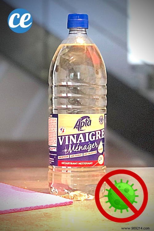 Is White Vinegar Disinfectant? The Answer Here. 