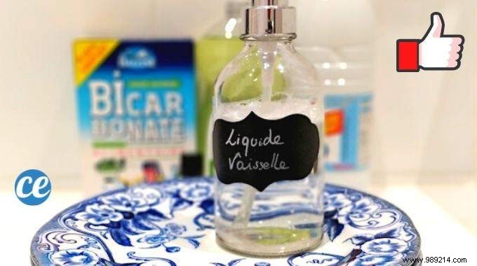 7 Ingenious Tips for Doing Dishes WITHOUT Dishwashing Liquid. 
