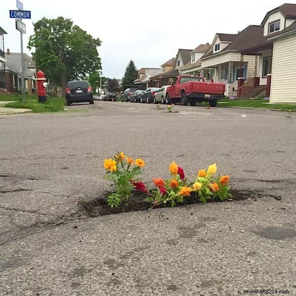 Cities Don t Fix Potholes. The inhabitants decide to plant flowers there. 