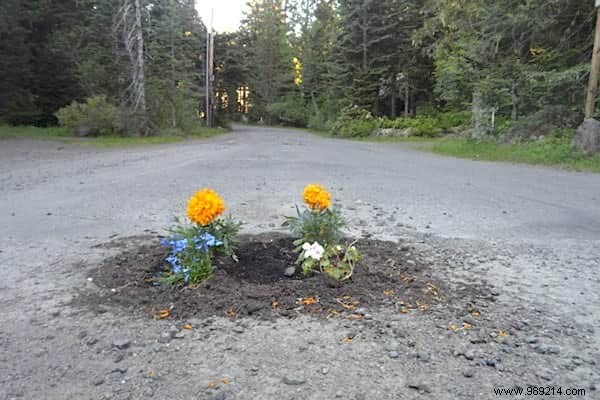 Cities Don t Fix Potholes. The inhabitants decide to plant flowers there. 