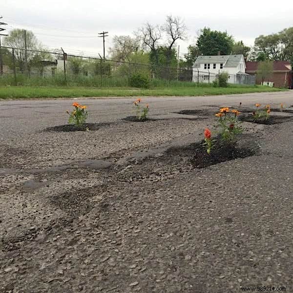 Cities Don t Fix Potholes. The inhabitants decide to plant flowers there. 