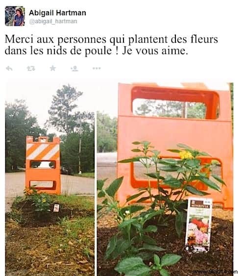 Cities Don t Fix Potholes. The inhabitants decide to plant flowers there. 