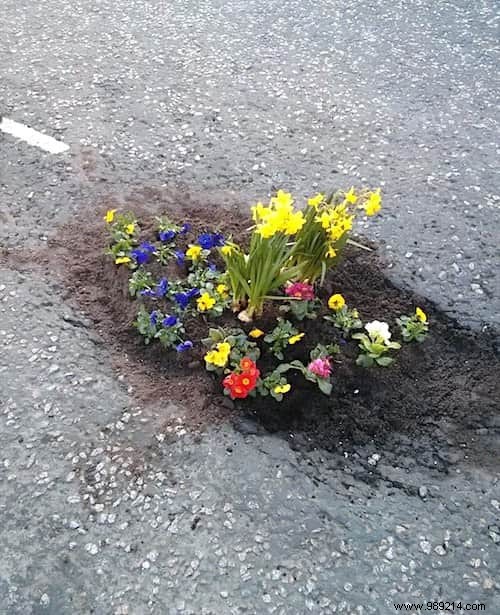 Cities Don t Fix Potholes. The inhabitants decide to plant flowers there. 