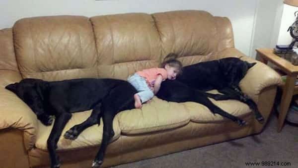 20 Amazing Photos of Little Kids With Their HUGE Dogs. 