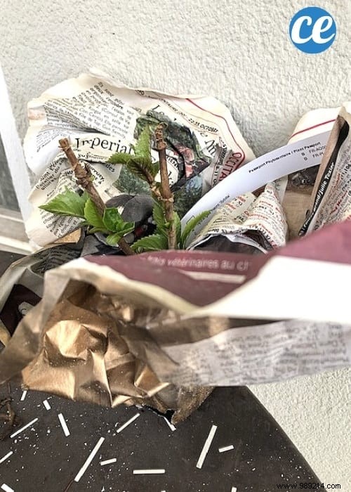 29 Newsprint Uses Nobody Knows About. 