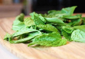 The Homemade Mint Syrup Recipe. 