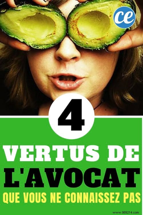 The 4 virtues of the lawyer that you do not know. 