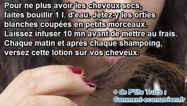 The Natural and Effective Remedy Against Dry Hair. 