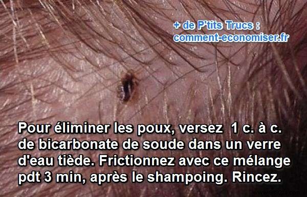 The Natural and Effective Remedy to Eliminate Lice. 