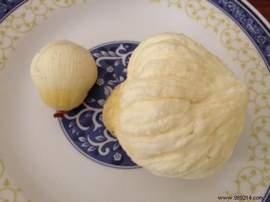 10 Coconut Embryo Benefits Nobody Knows About. 