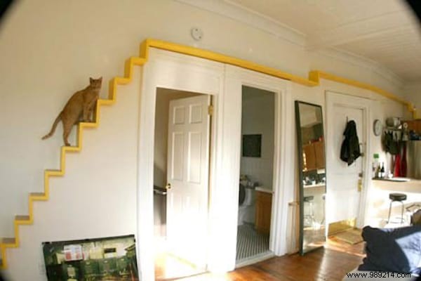 The 20 Best Cat Trees That All Cats Dream Of Having! 