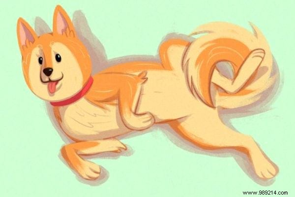 16 Tips For Anyone Who Wants To Better Understand Their Dog. 