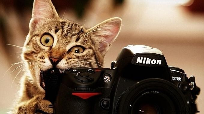 The Magic Trick For All Photographers Who Lose Their Lens Caps. 