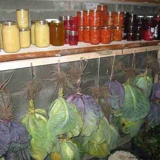 15 Tricks Used In Old Homes That Shouldn t Be Tossed Away. 