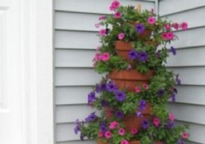 The Tip To Make A Cascade Of Flowers That Doesn t Take Up Space. 
