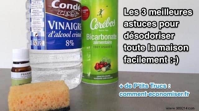 The 3 Best Tips to Deodorize Your Whole House Easily. 