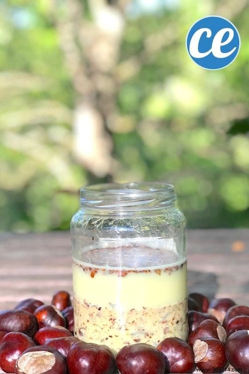 Here s How To Make Laundry With Chestnuts (Free And Easy To Do). 