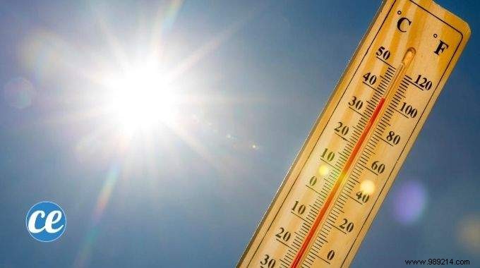 8 Simple and Effective Tips to Survive the Heatwave. 