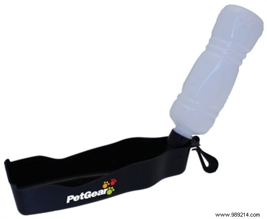 6 useful things for your dog during the hot days 