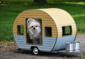 10 x cute campers for dogs 