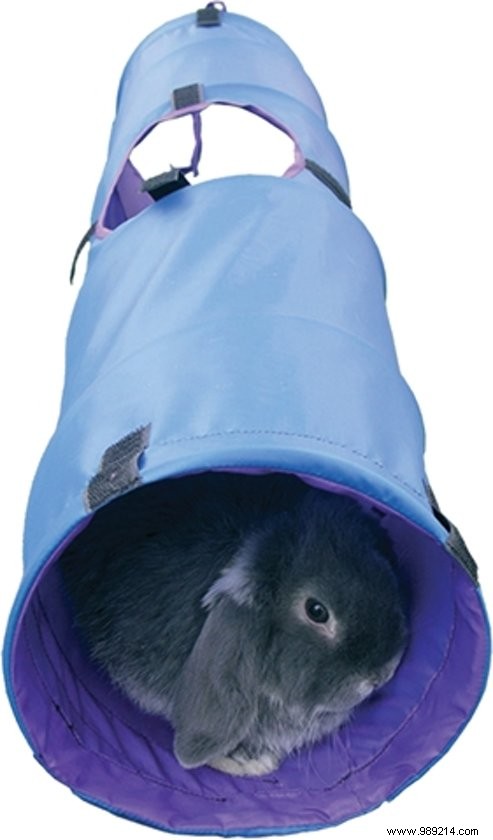 The best gifts for animal day 