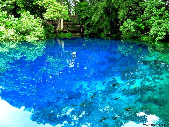 12 x the most beautiful natural pools in the world 